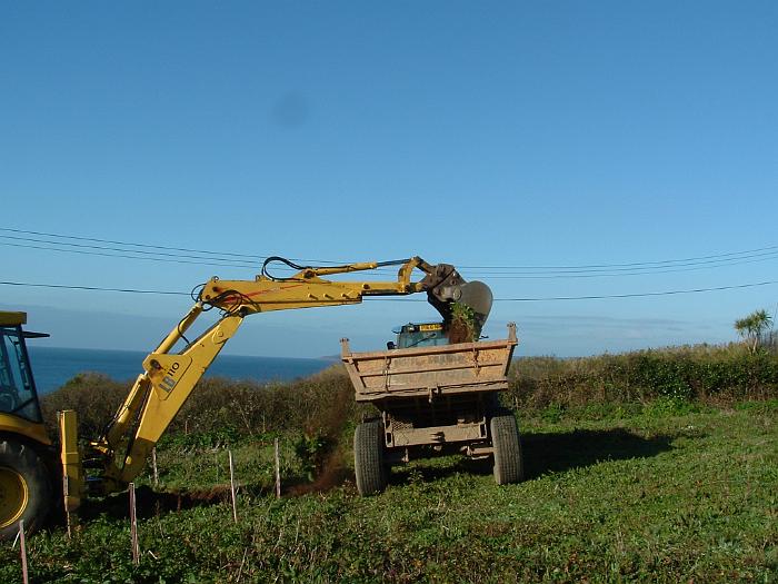 4 Digging Starts (5)